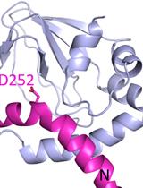 使用HADDOCK了解高分子对接复合物：实验数据与计算之间的协同作用