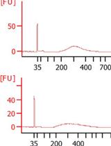 Low-cost and High-throughput RNA-seq Library Preparation for Illumina Sequencing from Plant Tissue