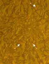 Long-distance Transport in Bacterial Swarms Revealed by Single Nanoparticle Tracking