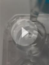 K+ Release Assay and K+ Measurement in Oocyte Assay