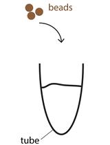 DigiTAG–a RNA Sequencing Approach to Analyze Transcriptomes of Rare Cell Populations in Drosophila melanogaster