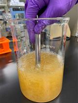 Rapid Isolation and Purification of Secreted Bacteriocins from Streptococcus mutans and Other Lactic Acid Bacteria