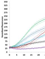 Bacterial Adhesion Kinetics in a High Throughput Setting in Seconds-minutes Time Resolution