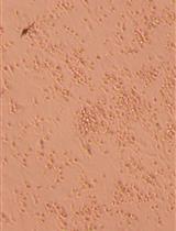 原代和iPSC来源的人类NK细胞的分离、刺激和功能分析方案