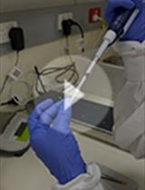 Preparation of <em>Nippostrongylus brasiliensis</em> Larvae for the Study of Host Skin Response