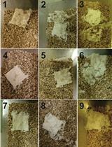 Nestlet Shredding and Nest Building Tests to Assess Features of Psychiatric Disorders in Mice