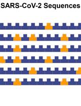 Evaluation of the Sequence Variability within the PCR Primer/Probe Target Regions of the SARS-CoV-2 Genome