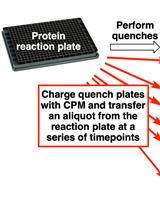 Quantitative Irreversible Tethering (qIT) for Target-directed Covalent Fragment Screening
