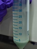 Wounding Caenorhabditis elegans with Glass Wool