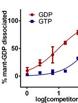 A mant-GDP Dissociation Assay to Compare the Guanine Nucleotide Binding Preference of Small GTPases