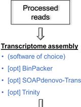 A Pipeline for Non-model Organisms for de novo Transcriptome Assembly, Annotation, and Gene Ontology Analysis Using Open Tools: Case Study with Scots Pine