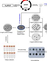重组酵母的GPCR、Gα和Gβγ亚基的表达和纯化，用于结构和动力学研究
