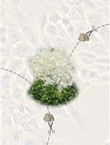 RI-SEC-seq:具有不同稳定性的非泡性细胞外RNA的综合分析