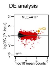 体外RNA免疫沉淀(vitRIP)鉴定纯化蛋白的RNA结合特异性