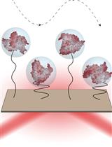Simultaneous Imaging of Single Protein Size, Charge, and Binding Using A Protein Oscillation Approach