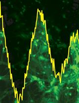 Generation of Mouse Primary Hypothalamic Neuronal Cultures for Circadian Bioluminescence Assays 