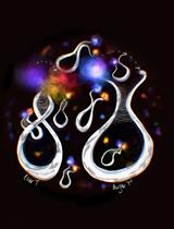 利用荧光共振能量转移和圆二色性监测短发夹RNA的实时温度动态