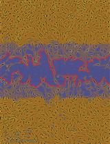 An Image-based Dynamic High-throughput Analysis of Adherent Cell Migration