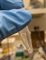  Preparation and Characterization of Poly(2-oxazoline) Micelles for the Solubilization and Delivery of Water Insoluble Drugs