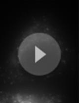 Retention Using Selective Hooks (RUSH) Cargo Sorting Assay for Live-cell Vesicle Tracking in the Secretory Pathway Using HeLa Cells