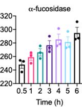 Quantitative Measurement of Mucolytic Enzymes in Fecal Samples