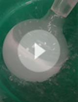 用荧光共振能量转移的显微技术测定单转运体膜氨基酸转运体的活性