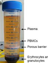 Ex vivo Assessment of Mitochondrial Function in Human Peripheral Blood Mononuclear Cells Using XF Analyzer