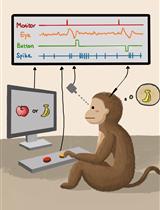 Single-unit Recording in Awake Behaving Non-human Primates