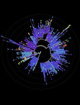 SARS-CoV-2基因组计算分析及系统进化聚类分析