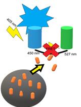 Measuring Cytosolic Translocation of <em>Mycobacterium marinum</em> in RAW264.7 Macrophages with a CCF4-AM FRET Assay