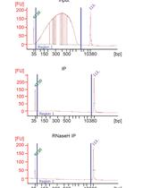 Identification of R-loop-forming Sequences in <em>Drosophila melanogaster</em> Embryos and Tissue Culture Cells Using DRIP-seq
