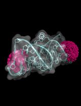 Spin Labeling of RNA Using “Click” Chemistry for Coarse-grained Structure Determination via Pulsed Electron-electron Double Resonance Spectroscopy