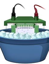 Intracellular IRF5 Dimerization Assay