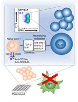 A Simple and Robust Protocol for <em>in vitro</em> Differentiation of Mouse Non-pathogenic T Helper 17 Cells from CD4<sup>+</sup> T Cells