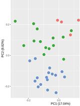 Detecting Differentially Methylated Promoters in Genes Related to Disease Phenotypes Using R