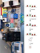 Simplified Epigenome Profiling Using Antibody-tethered Tagmentation