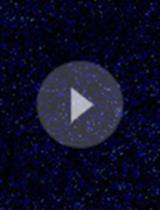 <em>In vivo</em> Optical Access to Olfactory Sensory Neurons in the Mouse Olfactory Epithelium