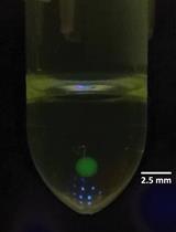 A Detailed Protocol for Preparing Millimeter-sized Supergiant Liposomes that Permit Efficient Eukaryotic Cell-free Translation in the Interior