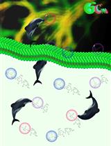 Analysis of Soluble Sugar Content in Minute Quantities of Rice Tissues by GC-MS