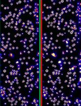 Single-molecule Fluorescence Technique to Monitor the Co-transcriptional Formation of G-quadruplex and R-loop Structures
