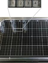 OrganoPlate Micro-fluidic Microvessel Culture and Analysis