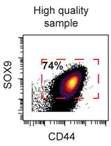 Preparation of Human Chondrocytes for Profiling Using Cytometry by Time-of-flight (cyTOF)