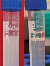 Isolation of Microglia and Analysis of Protein Expression by Flow Cytometry: Avoiding the Pitfall of Microglia Background Autofluorescence