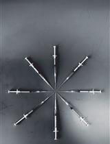 Fe-NTA微柱纯化免疫沉淀(IP)洗脱物中磷酸肽的质谱分析