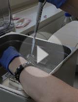 Measuring DNA Damage Using the Alkaline Comet Assay in Cultured Cells