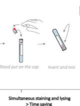 One-step White Blood Cell Extracellular Staining Method for Flow Cytometry