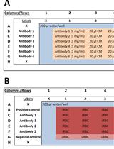 硫醇反应探针流式细胞术检测食蟹猴疟原虫生长抑制