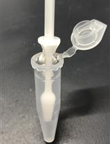 Direct-TRI: 斑马鱼发育各阶段高通量RNA提取方法					