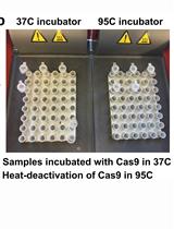 In vitro Cleavage and Electrophoretic Mobility Shift Assays for Very Fast CRISPR