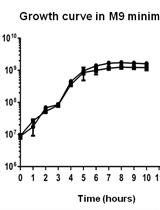 Glucose Starvation, Magnesium Ion Starvation, and Bile Stress Assays